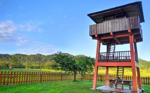 WISATA PADANG RUMPUT SADENGAN WISATA PADANG RUMPUT SADENGAN