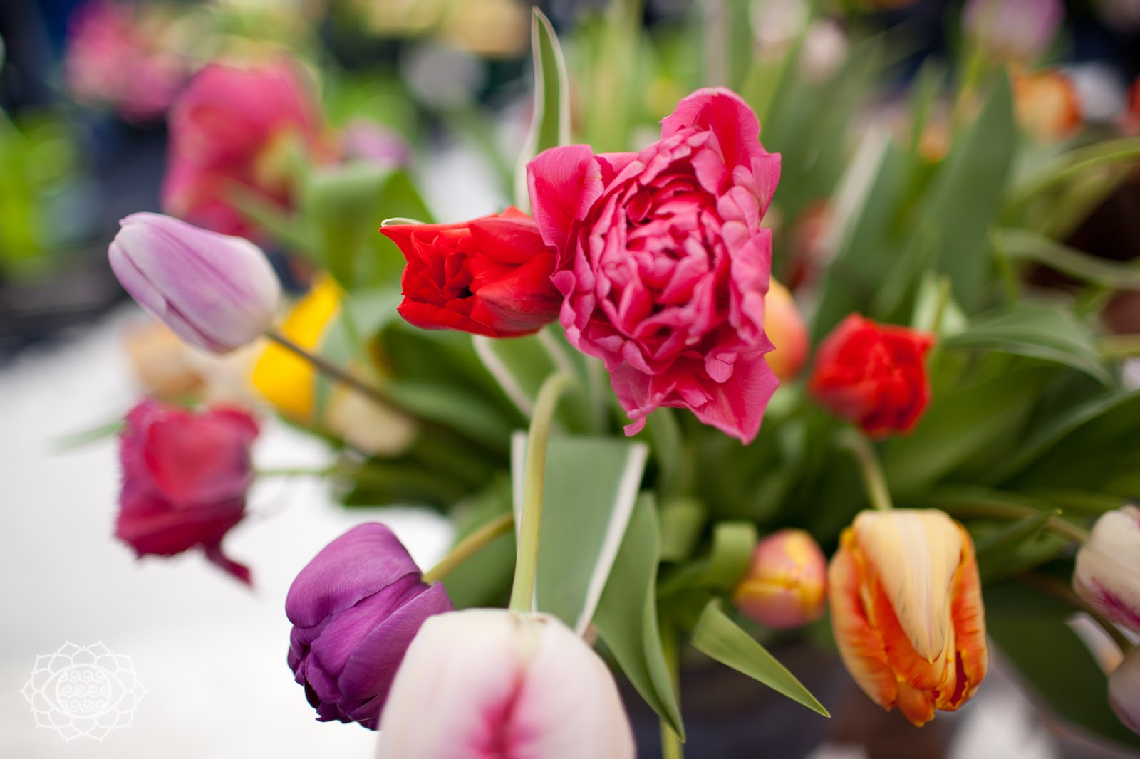 union square farmers market soul wrap