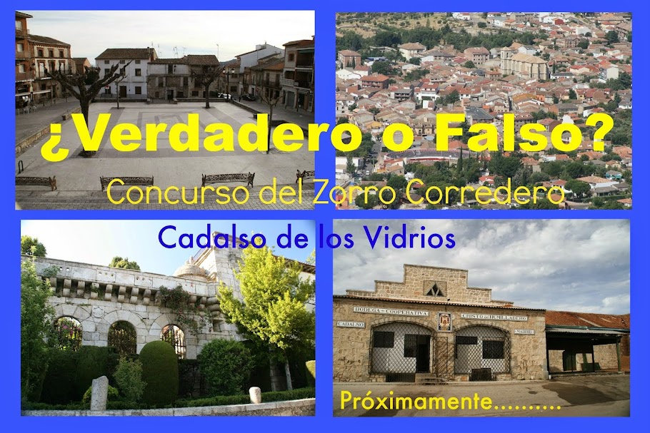 Concurso del Zorro Corredero "Verdadero o Falso"