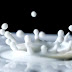Είναι απαραίτητο στους ενήλικες το γάλα;