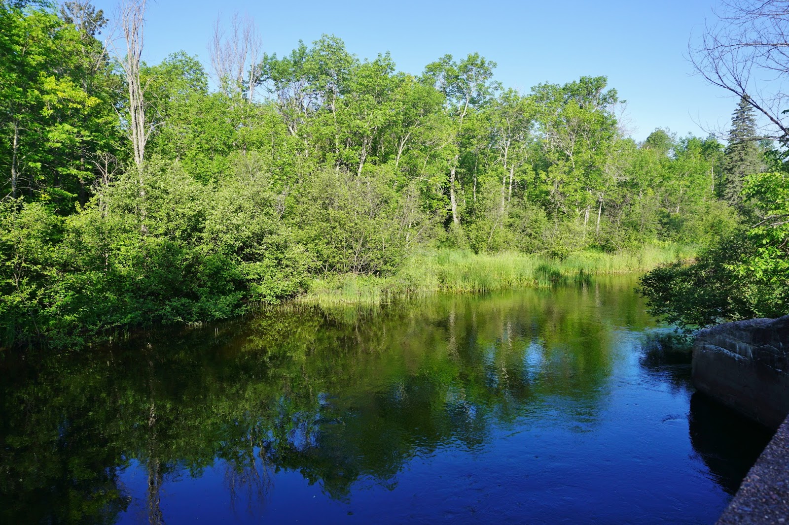 Adventures in Retirement 2015 06 19 Day 5 of Scenic Destinations