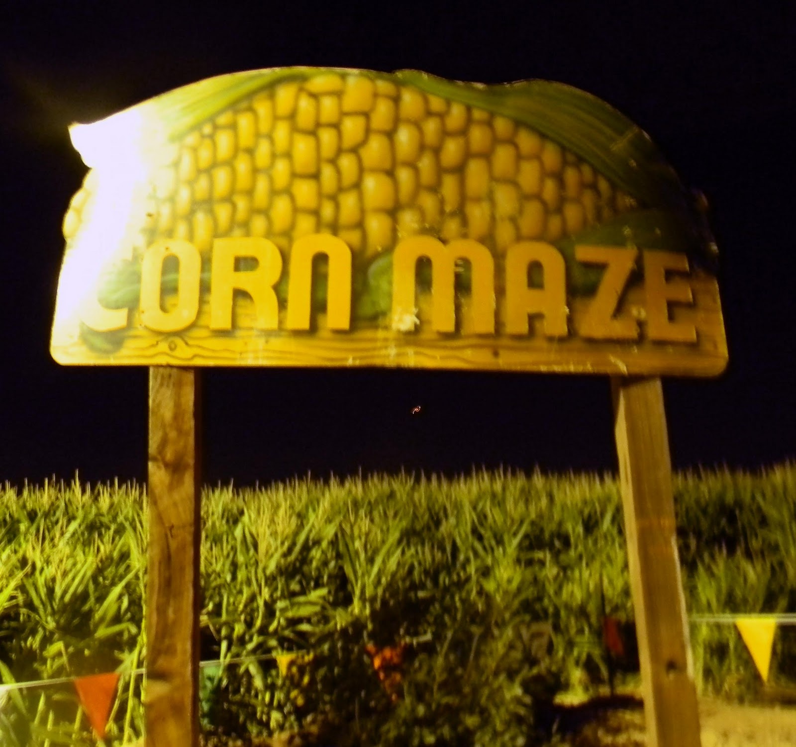 Back to the Haunted Corn Maze