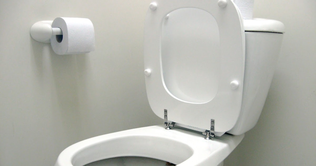 Suzanne Looms on Creativity, Innovation & Change Leaving toilet seat
