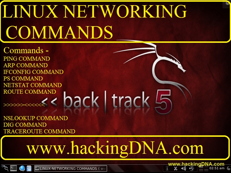 Linux Command Netstat Options