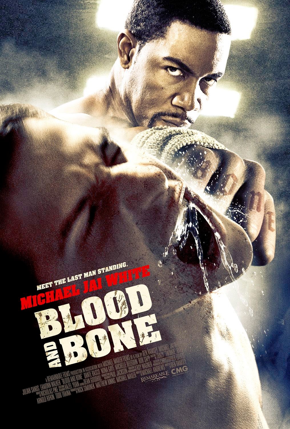 Two Dudes Doing Movie Reviews Action Movie Reviews Blood and Bone (2009)