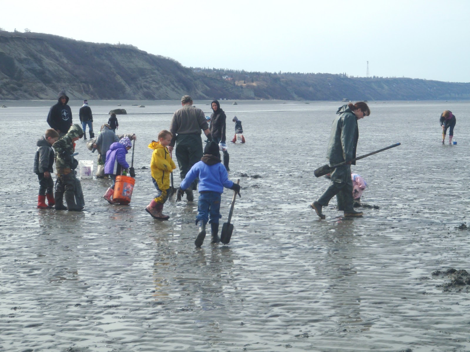 Rudstrom Family Blog Clam Digging A Real Alaskan Field Trip