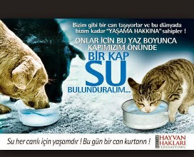 <i>Can Kurtarmanın Mutluluğunu Tadın </i>