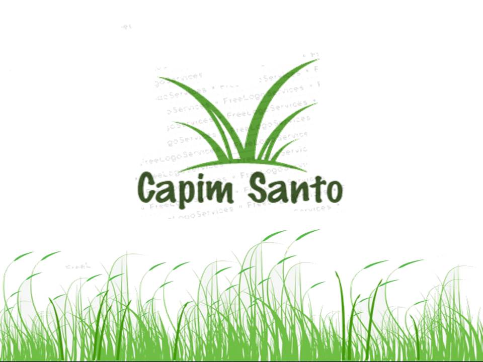 CAPIM SANTO