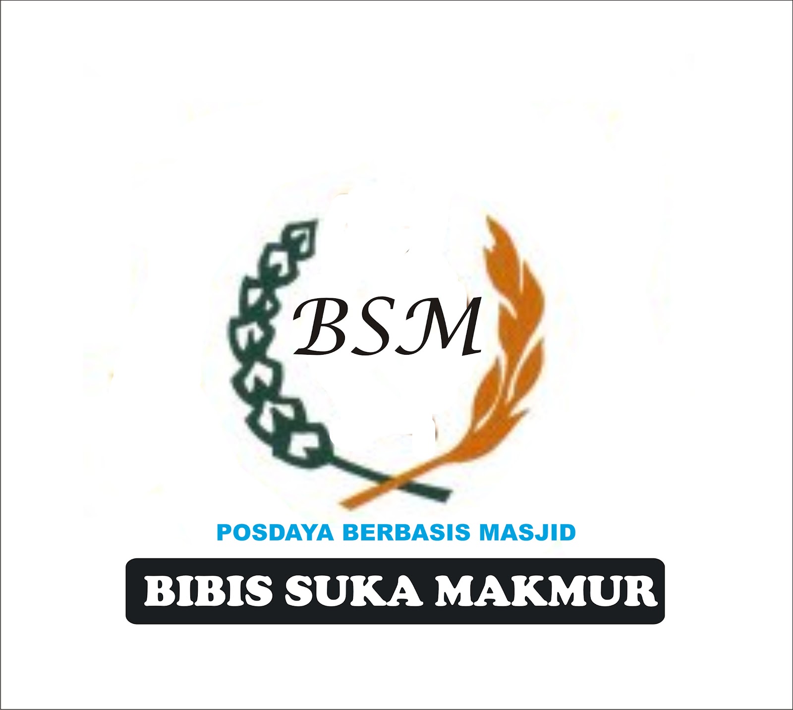 padi kapas