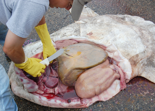 NECWA News Blog: September 2011