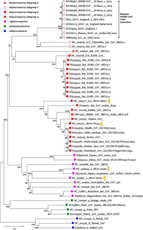 Crack Geneious Phylogenetic Crack Geneious Phylogenetic