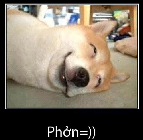 ảnh fb comment chế ảnh fb comment chế