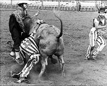 Angola prison bull poker