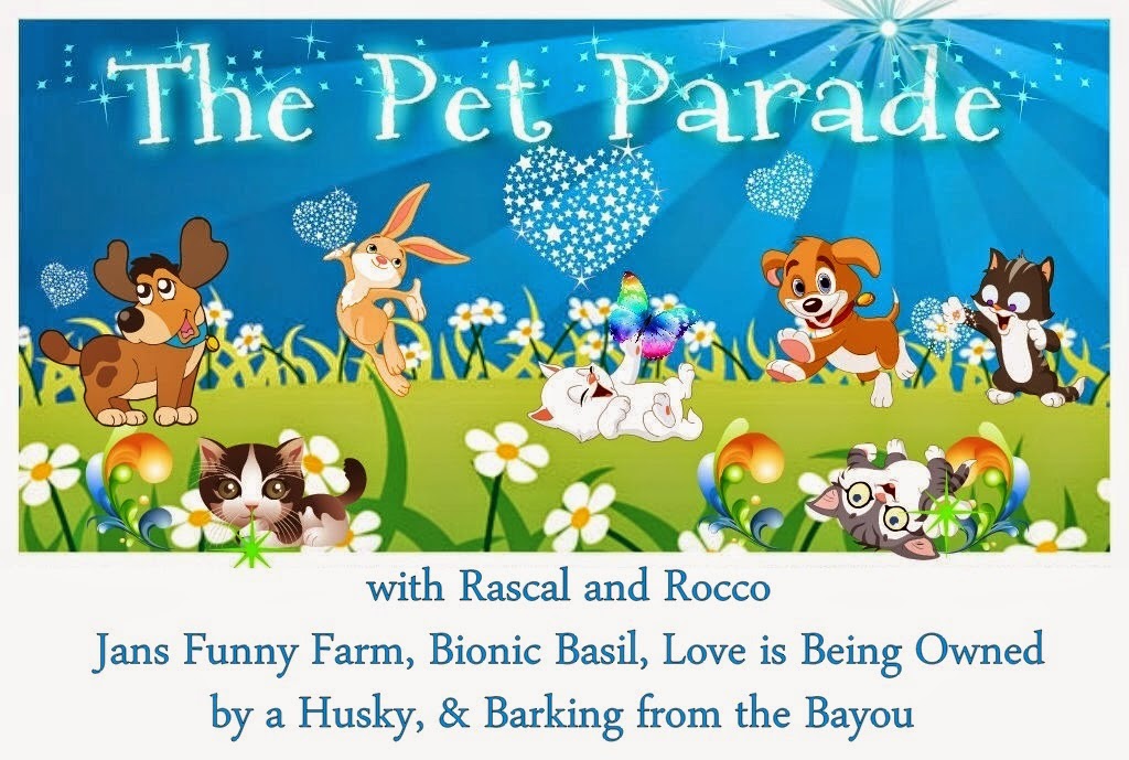 Pet Parade #bloghop for #petbloggers #cats #dogs #pets any #animals