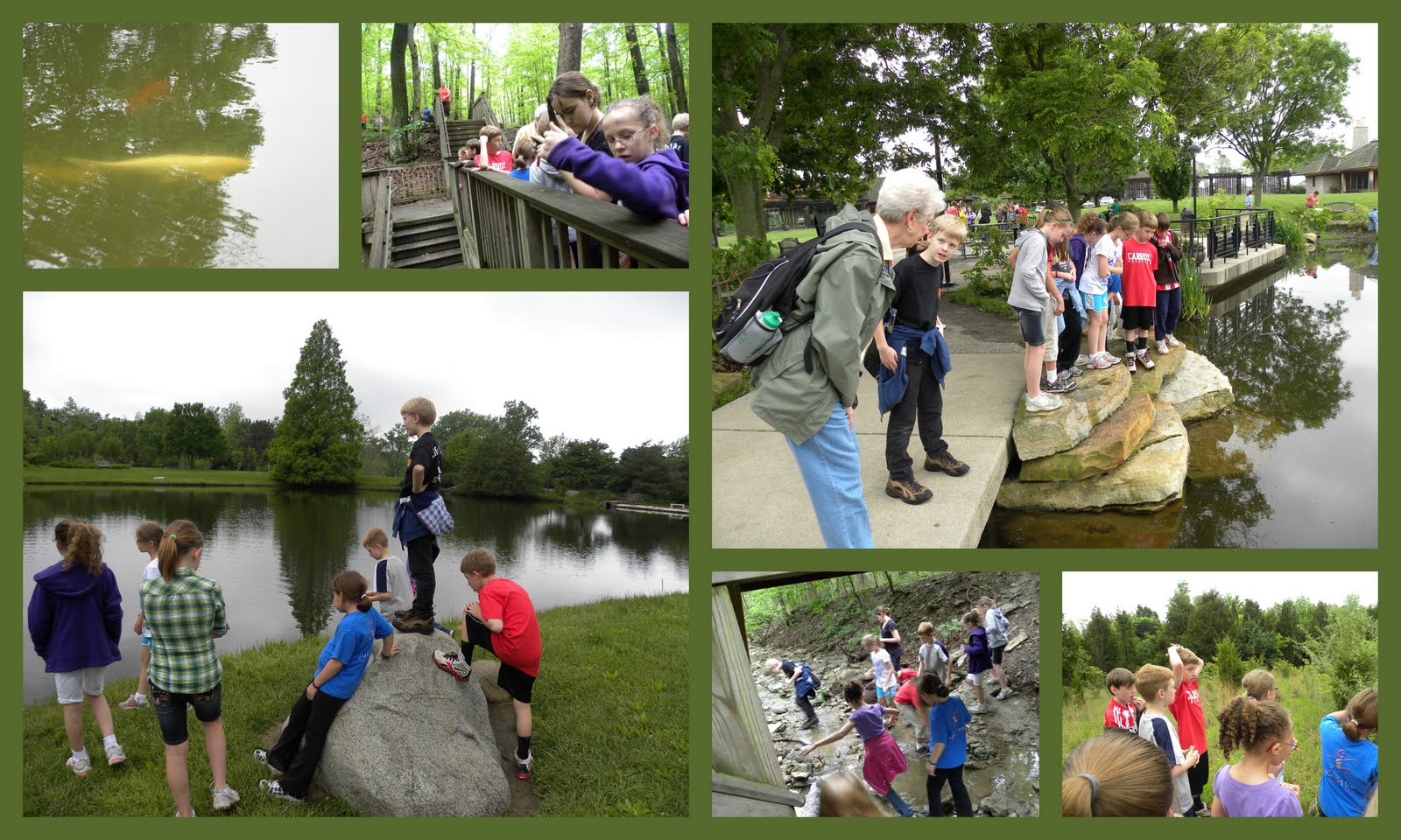 Cox Arboretum Pictures