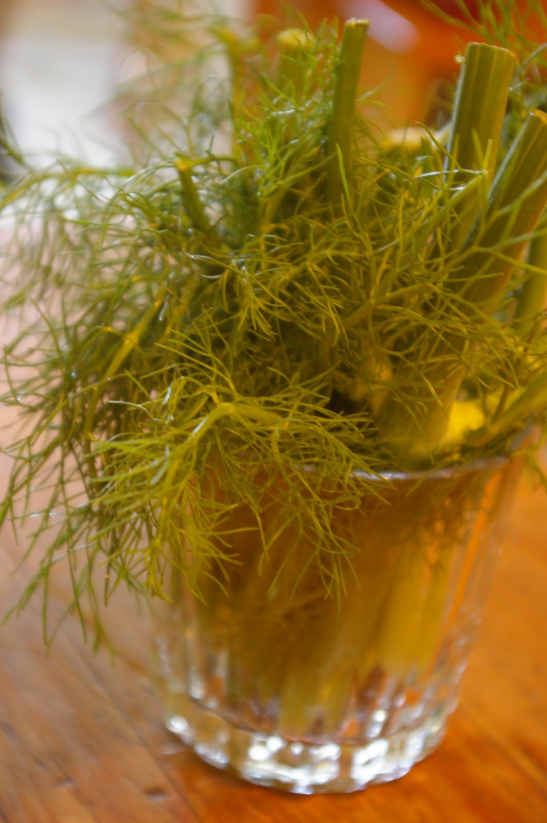 The Worthy Cook Braised Fennel with White Wine & Cream