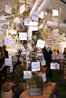 arbol de regalos