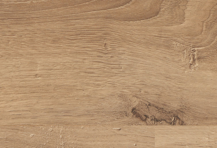 Spacio: Como distinguir la madera: El Roble