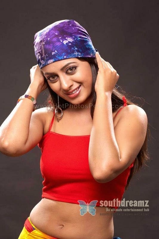 jayashree actress pics actress jayashree hot photos actresshotphotos jayashree actress pics actress jayashree hot photos actresshotphotos