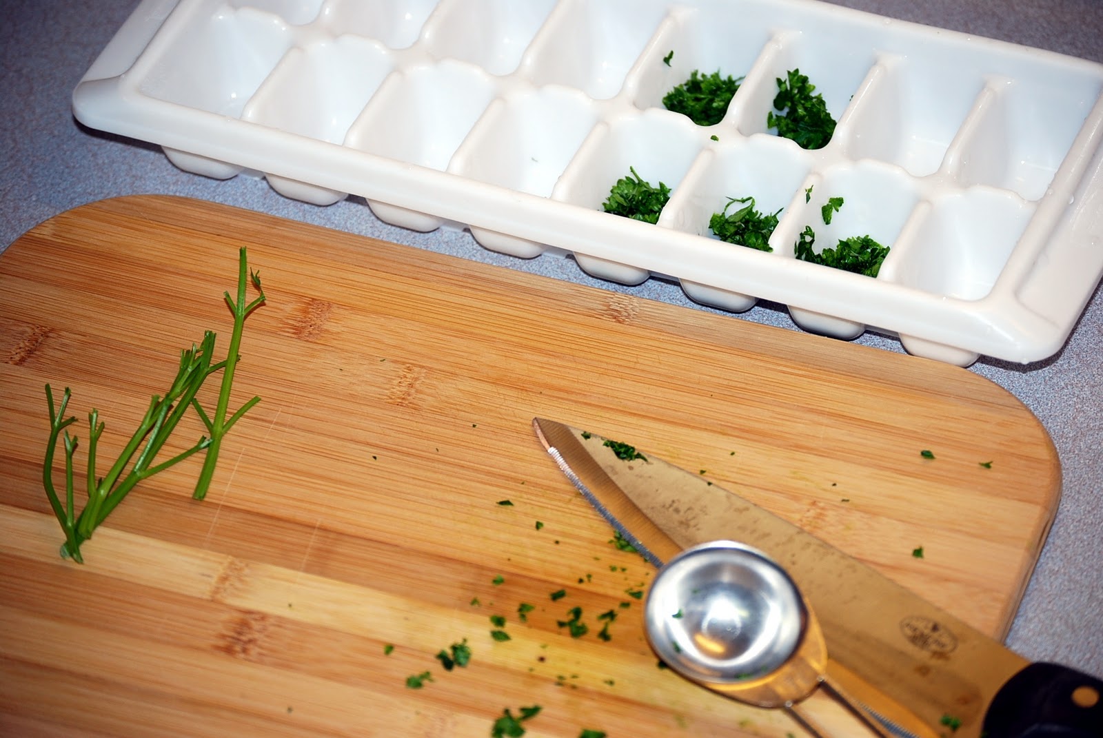 Homemaker's Journal Freezing Herbs