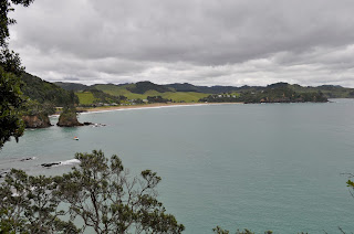view on whale bay new zealand