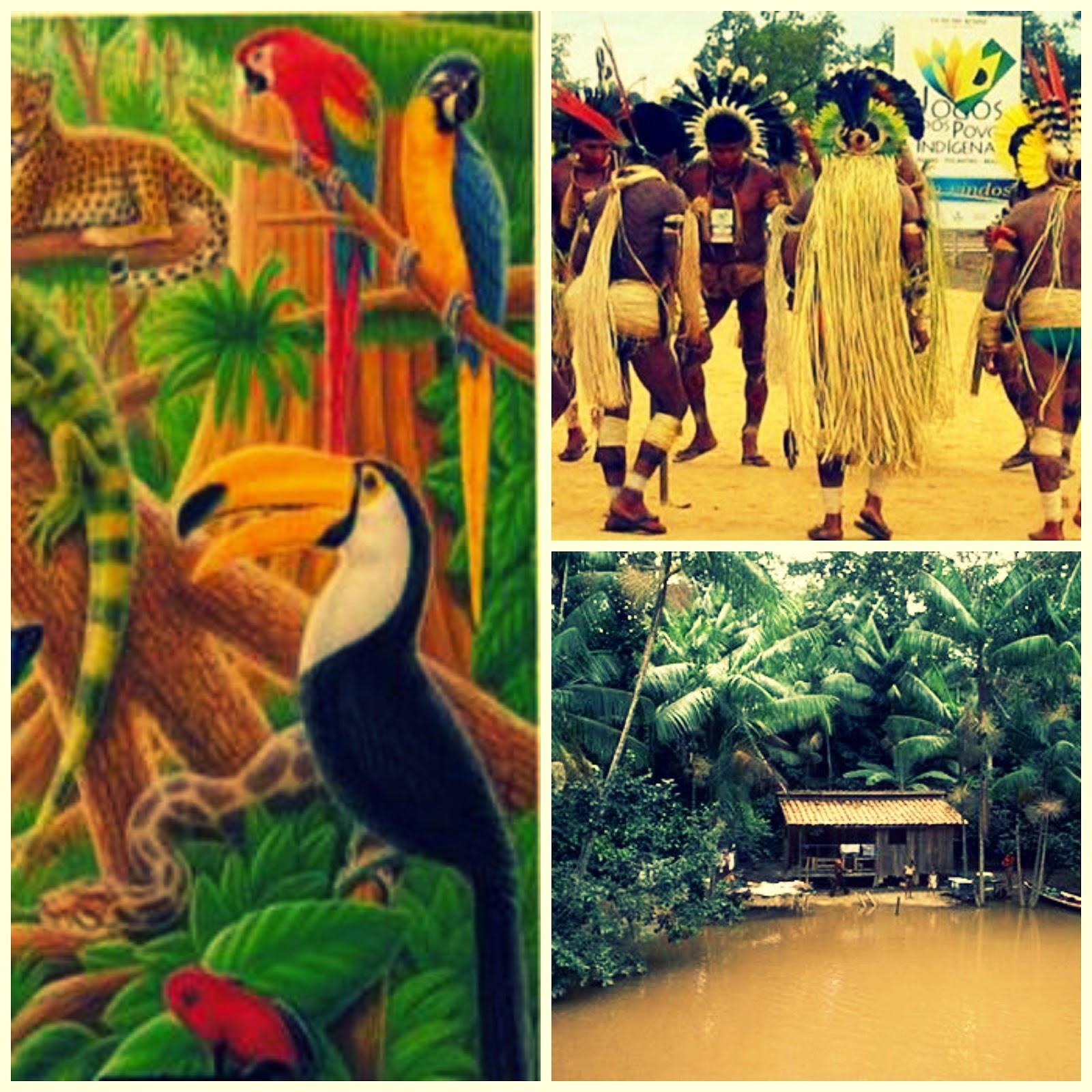 Regiones Naturales de Colombia Región Amazónica