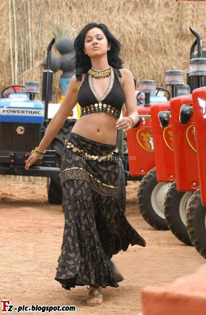 Bollywood Actress Nisha Kothari photo