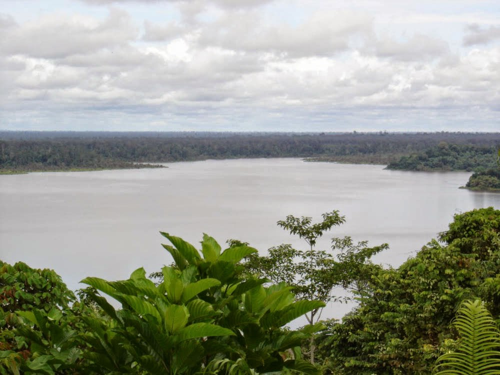 Id Tindalanon Ku Taman Negara Loagan Bunut Sarawak