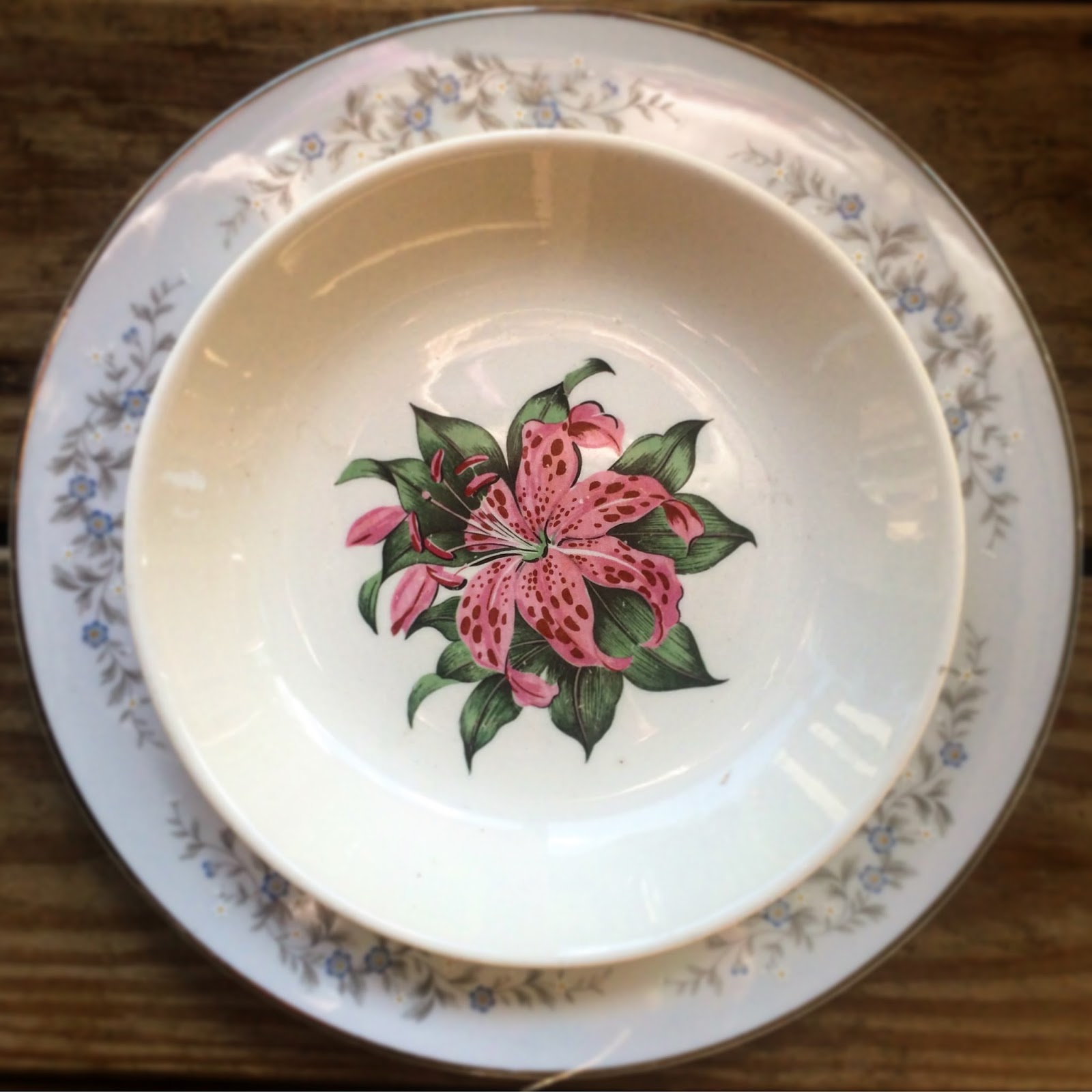 Root Bottom Farm Root Bottom Farm Blessed 2 Cook On Wlos Asheville