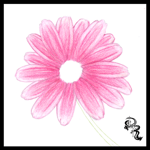 Derrick the Artist How to Color a Daisy With Colored Pencils by