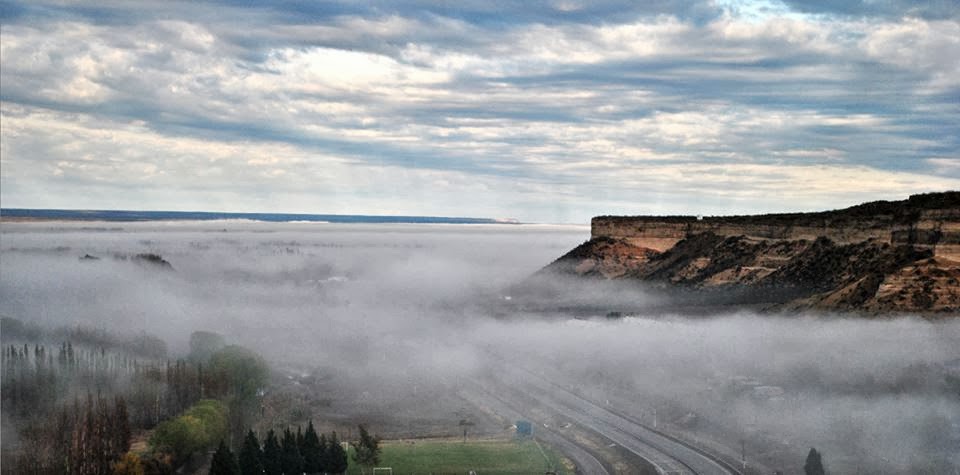 MANTO DE NEBLINA REGINENSE.