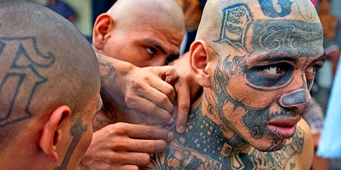 Mara Salvatrucha (MS-13) Mara Salvatrucha (MS-13)