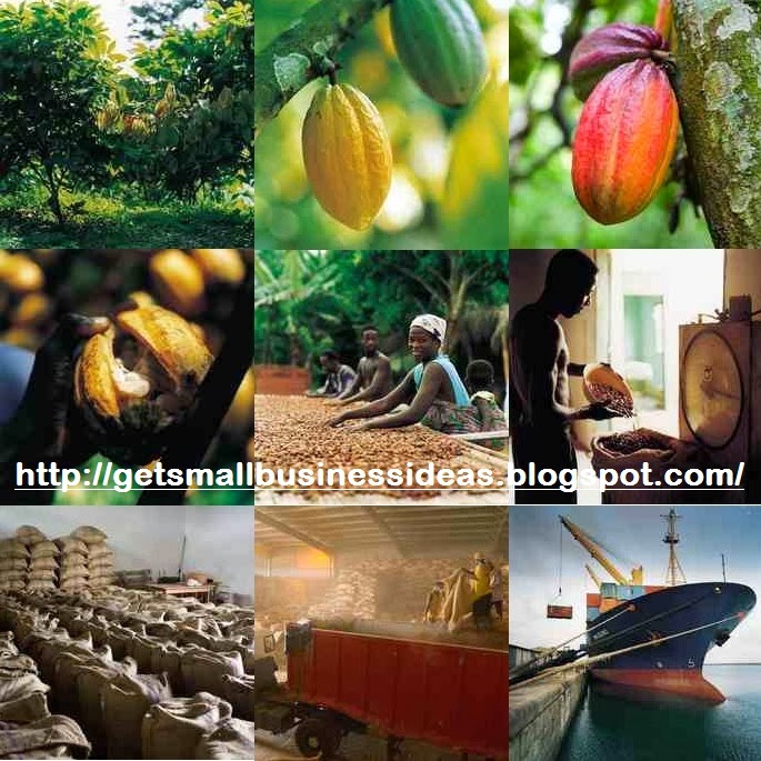 Business Ideas Small Business Ideas How to Start a Cocoa Farming