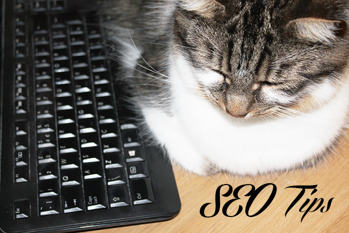 SEO improvement tips for bloggers