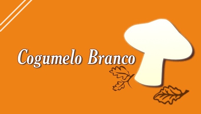 Cogumelo Branco