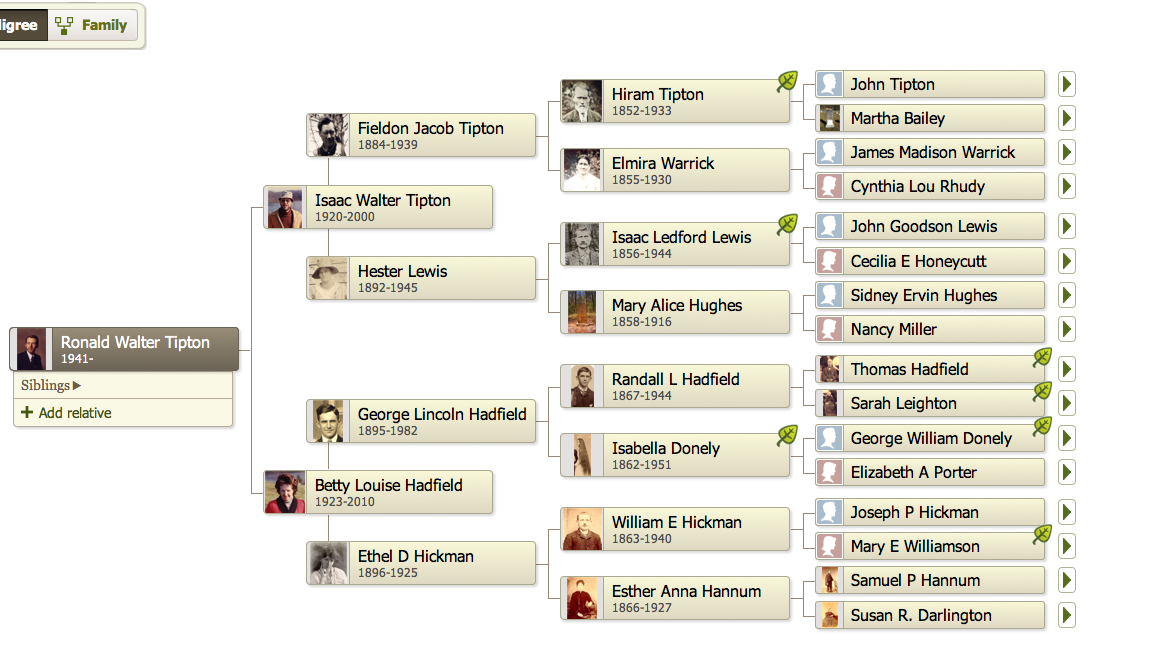 What Is Family Tree Maker Essentials With Paypal FOR SALE !!! What Is Family Tree Maker Essentials With Paypal FOR SALE !!!