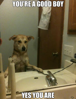 you are a good boy yes you are dog mirror