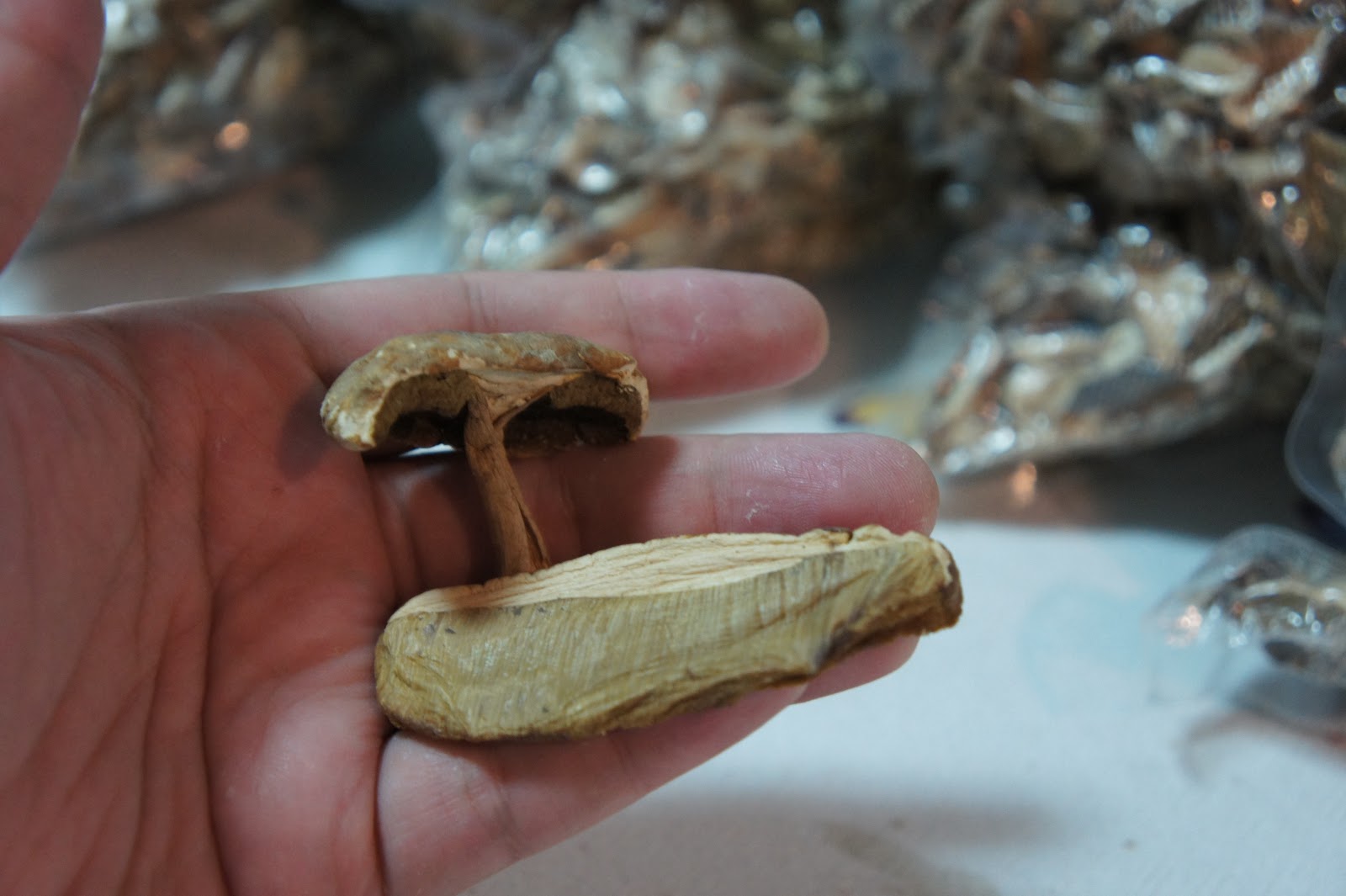 Mercadão em Casa Funghi Porcini vs Funghi Shiitake Life Experiences