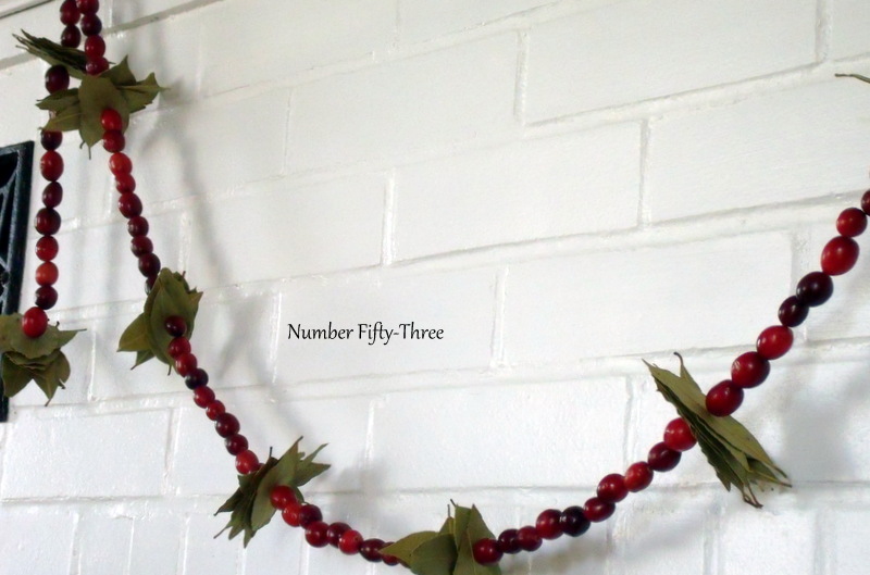 Number Fifty-Three: DIY Cranberry & Bay Leaf Garland
