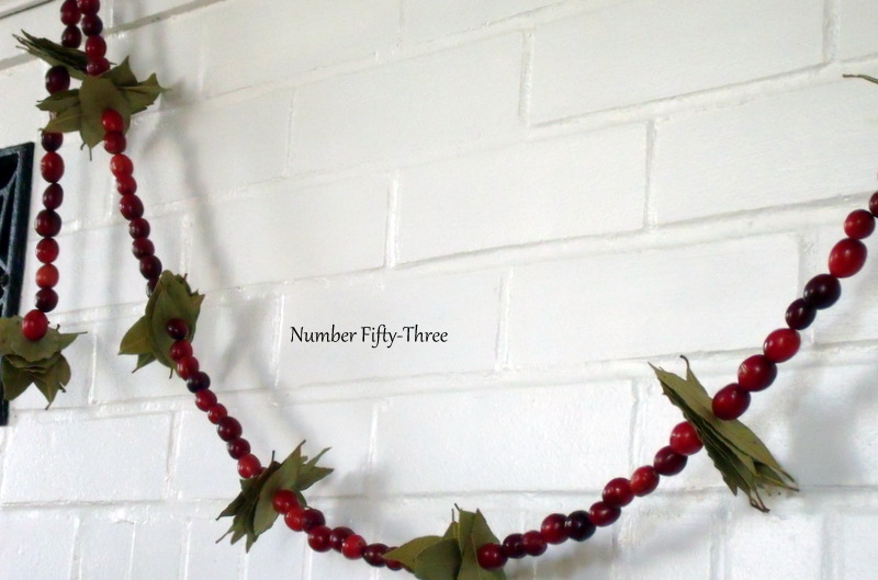 Number FiftyThree DIY Cranberry & Bay Leaf Garland