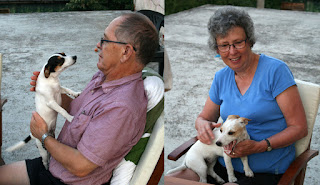 My parents with the puppies My parents with the puppies