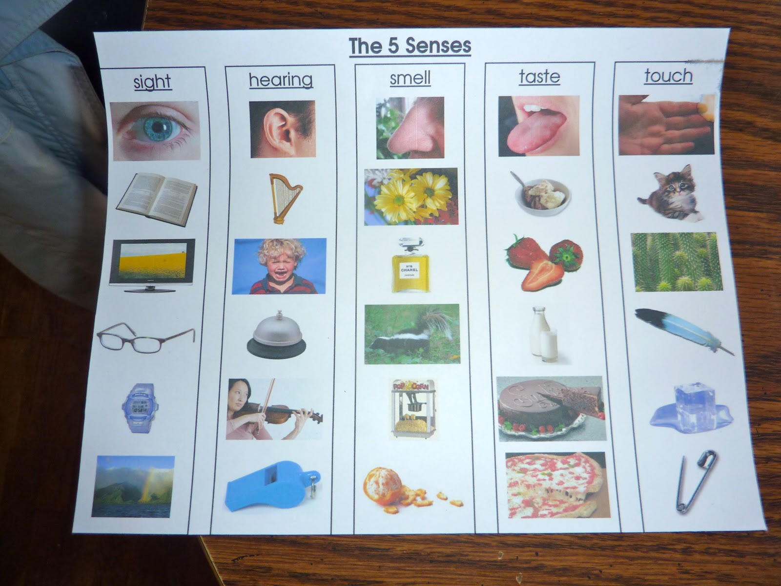 The 5 Senses