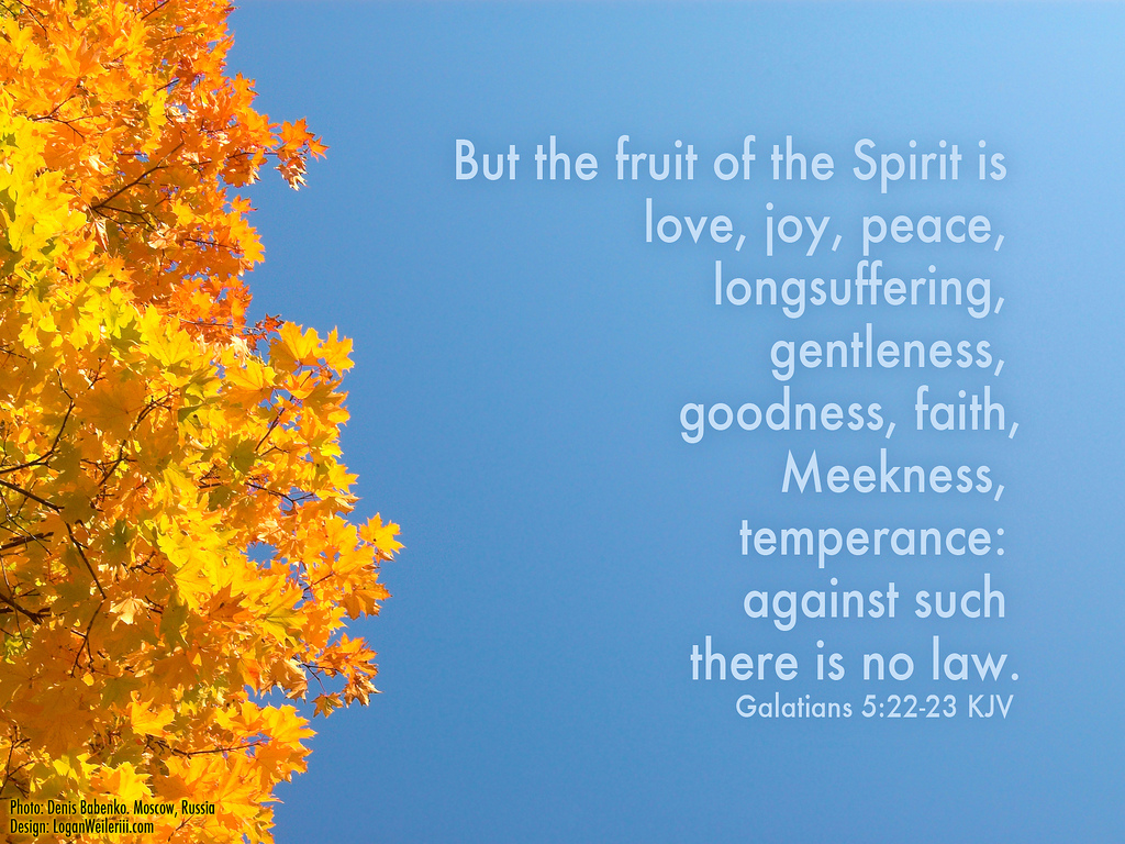 one contented homebody Sunday Scripture Fruit of the Spirit