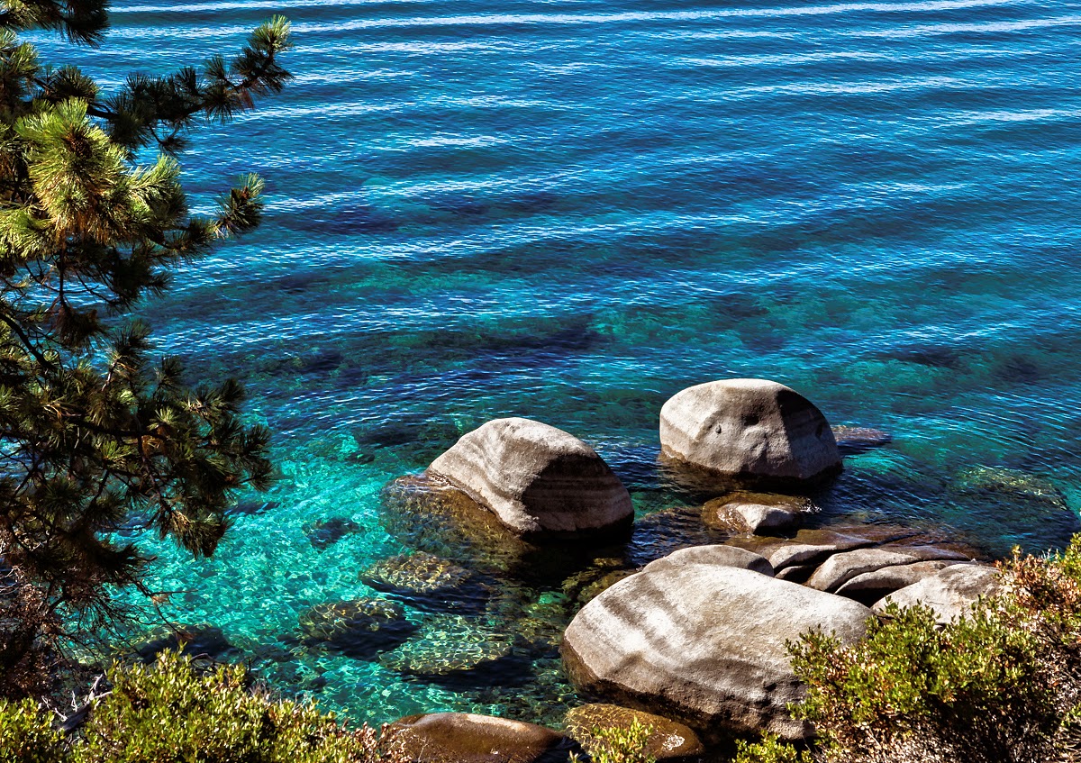 2013 2014 De Terre Neuve En Terre De Feu Lac Tahoe