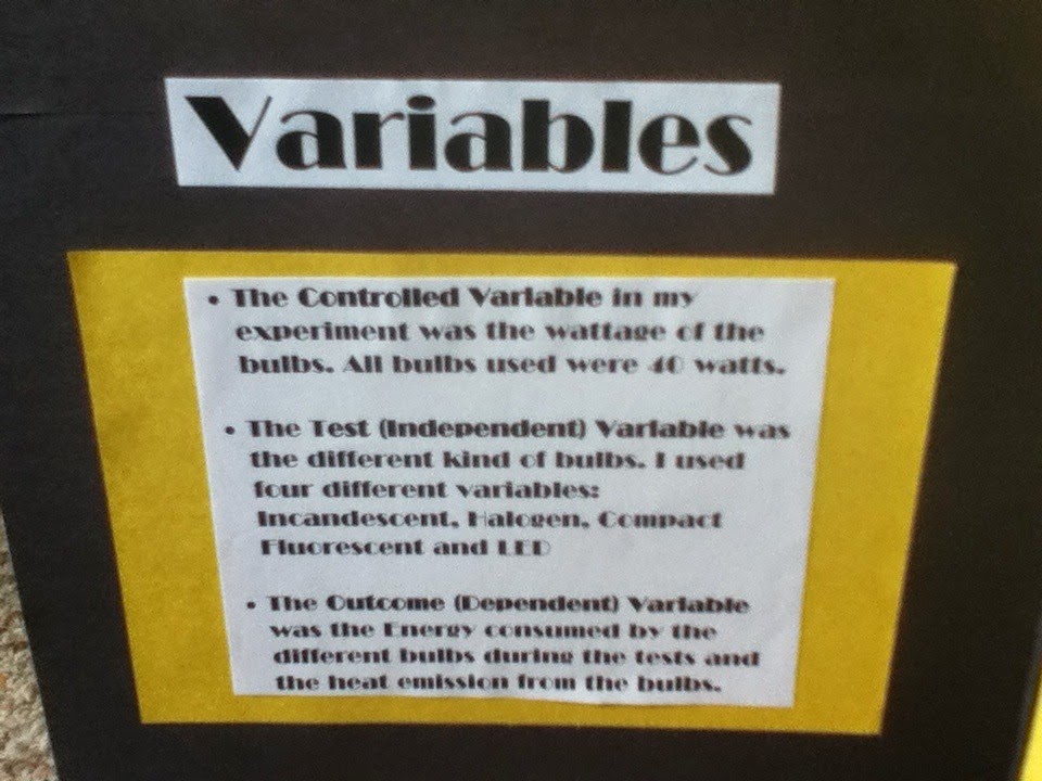 NaRaSaZ N's Science Fair Project