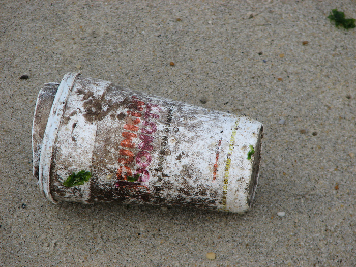 5 Ways to Avoid Toxic Styrofoam Econovice