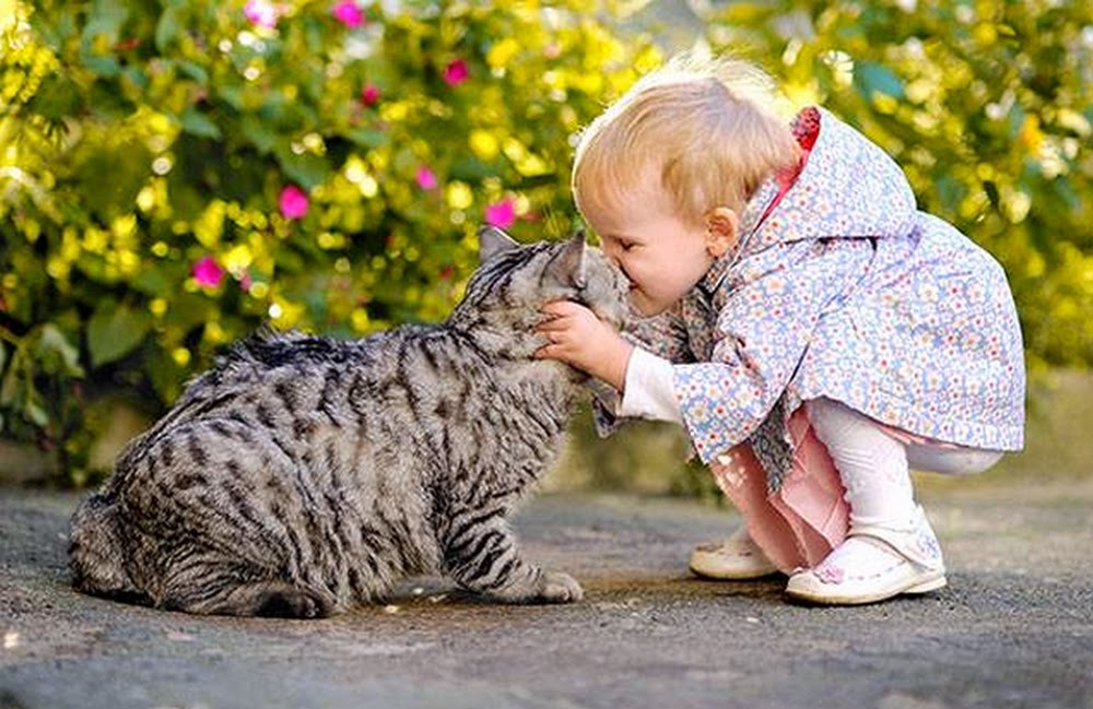 صور رائعة للاطفال مع القطط الغد alghade