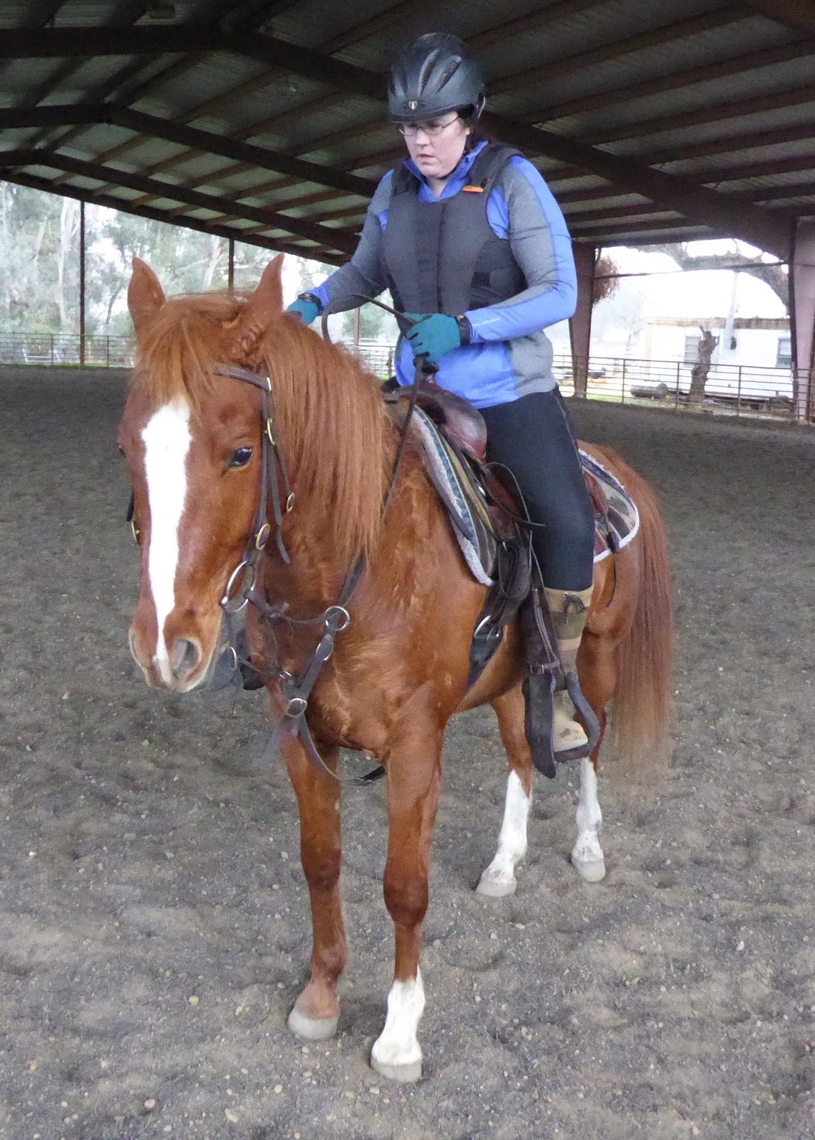 Horse Shopping Horses 1 & 2 DIY Horse Ownership