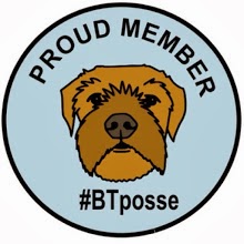 Member of the Border Terrier Posse