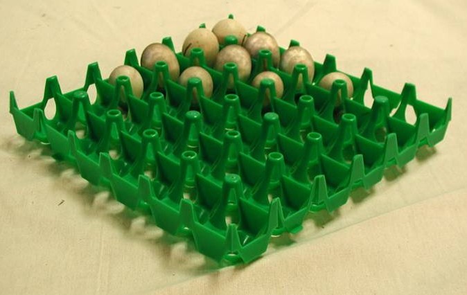 incubator egg rack incubator egg rack